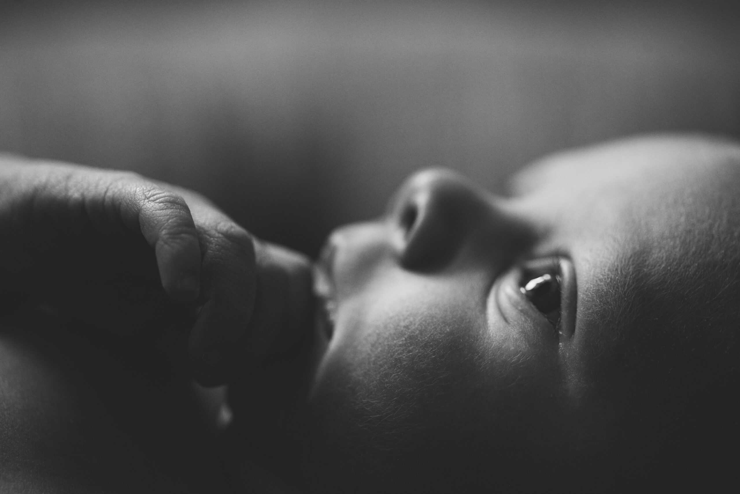 MLP_HamiltonStavelyNB_3917-2