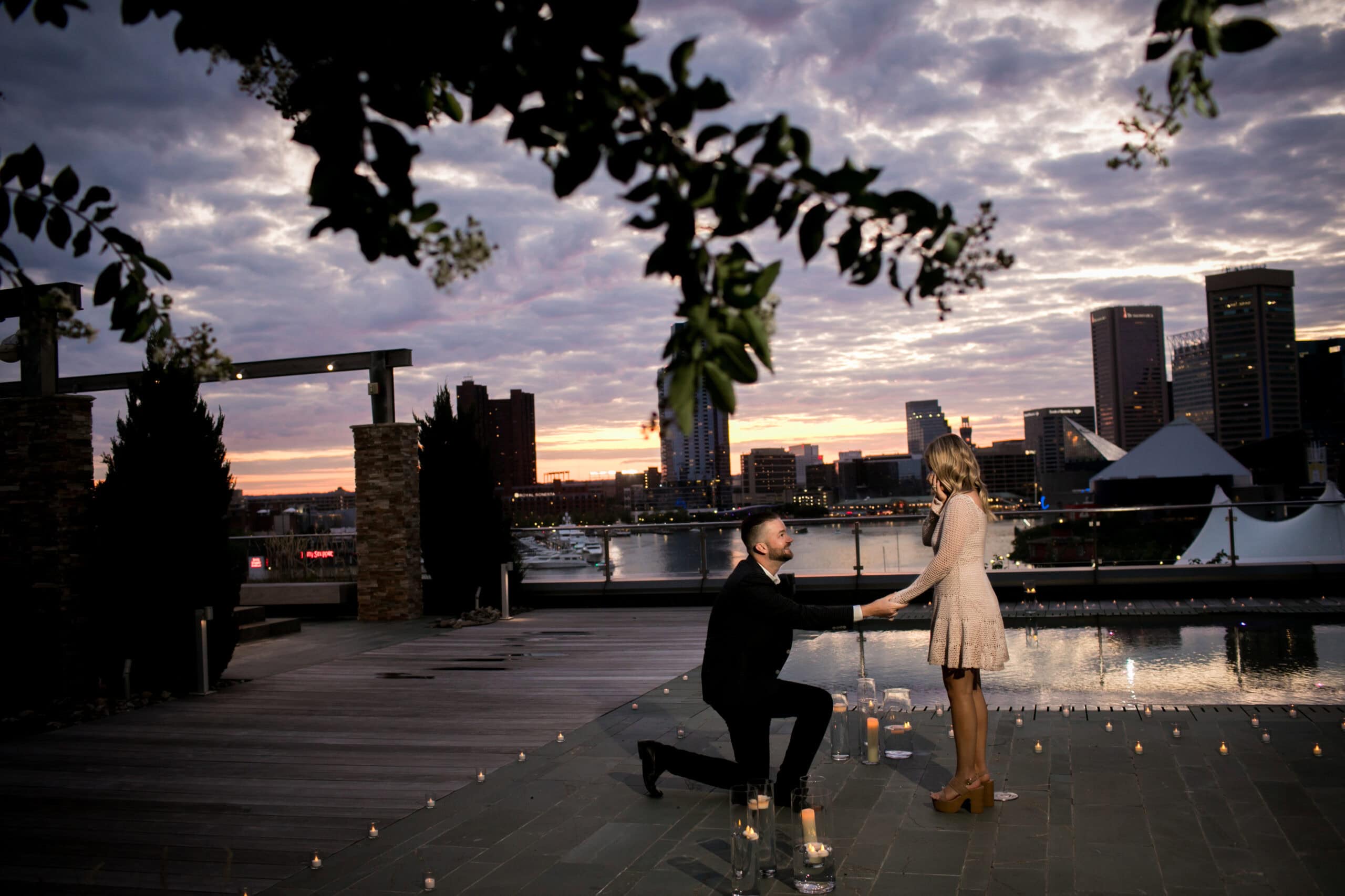 MLP_SchellProposal_0045