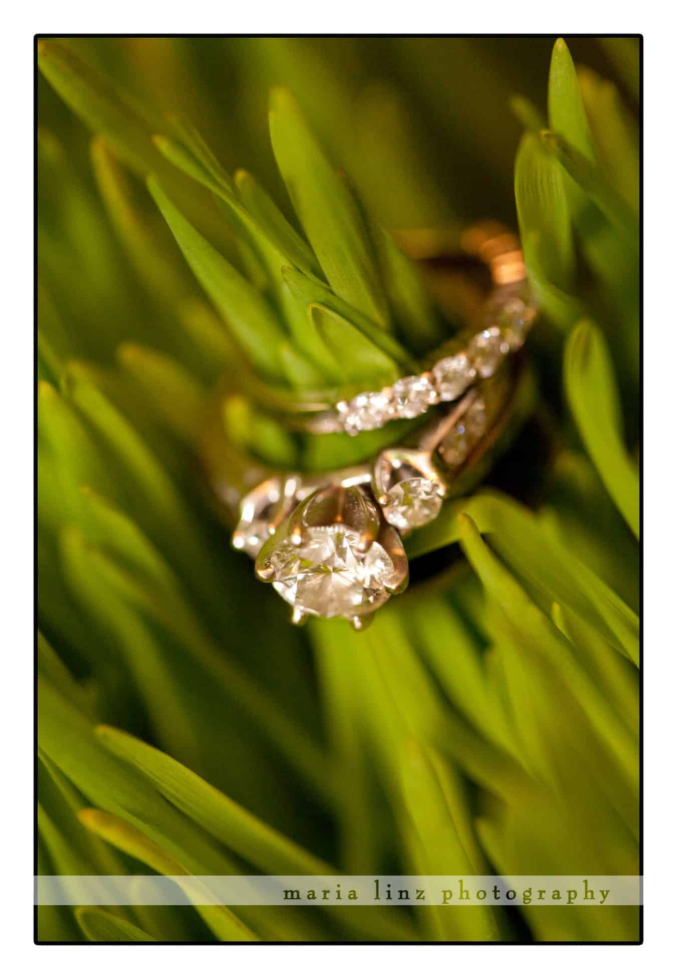 My favorite- the rings!